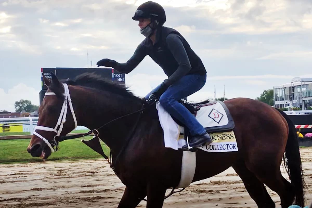 Preakness Stakes betting guide: Will Kentucky Derby winner Authentic falter?